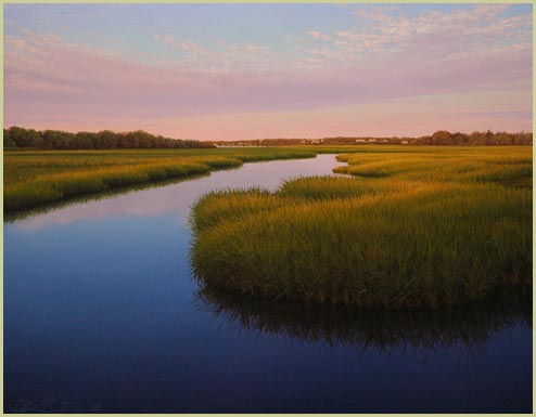 Early Morning : Sesuit Harbor - Patrick E. Kitson