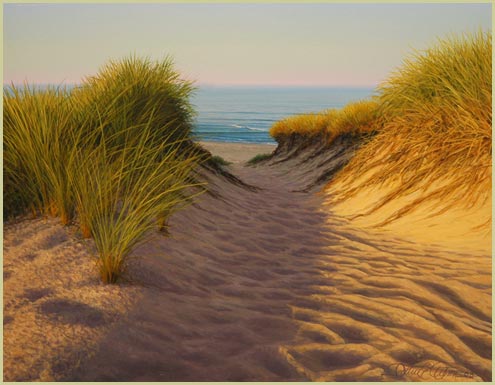 Sunlight and Grasses - Patrick Kitson