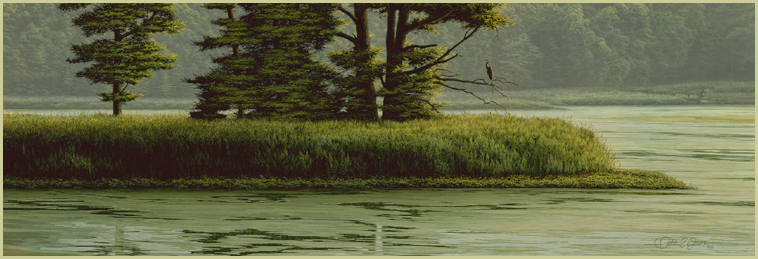 Sunshower - Great Blue Heron - Patrick Kitson