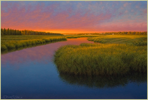 Marshside - Patrick E. Kitson