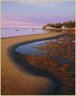 Reflections on Pleasant Bay - Patrick Kitson
