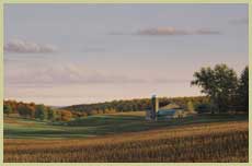 Catching Light - Patrick Kitson