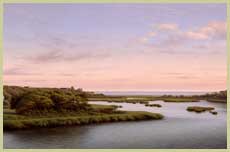 Evening on Bucks Creek - Patrick Kitson
