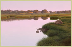 Grasses at Mill Creek - Patrick Kitson