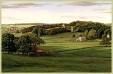 Higher Ground - Patrick Kitson