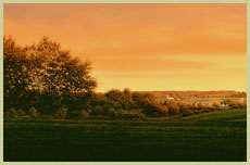 Last Light - Patrick Kitson