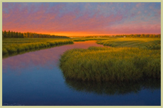 Marshside - Patrick Kitson
