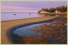 Reflections on Pleasant Bay - Patrick Kitson