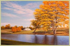 Shade Trees, Chadds Ford - Patrick Kitson