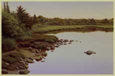 Still Water - Patrick Kitson