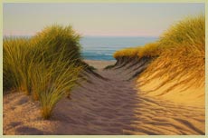 Sunlight and Grasses - Patrick Kitson