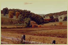 Autumn Hills - Patrick Kitson