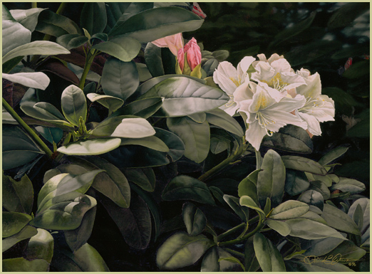 In Bloom - Patrick Kitson