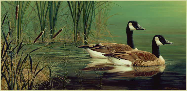 Northeastern Reflections-Canada Geese - Patrick Kitson